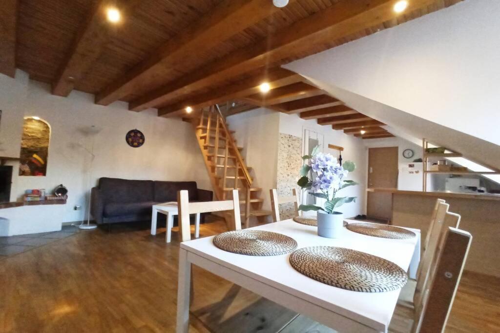 Private Sauna & 4 Bedrooms Old Town Rooftop Apartment VNO Eksteriør billede