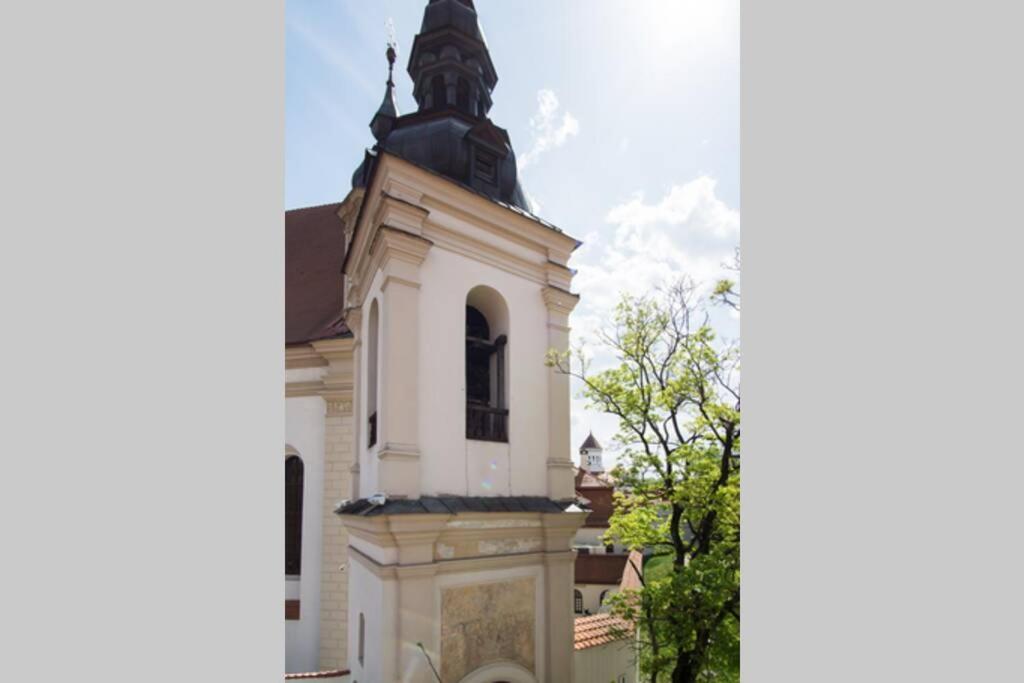 Private Sauna & 4 Bedrooms Old Town Rooftop Apartment VNO Eksteriør billede