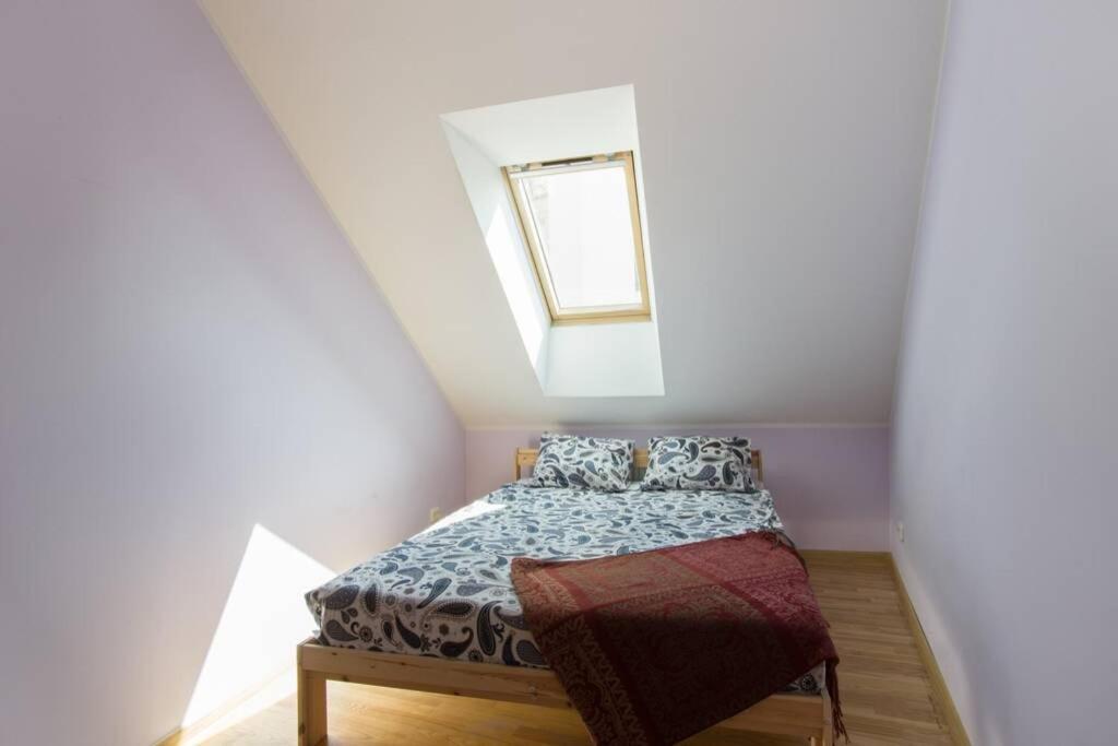 Private Sauna & 4 Bedrooms Old Town Rooftop Apartment VNO Eksteriør billede