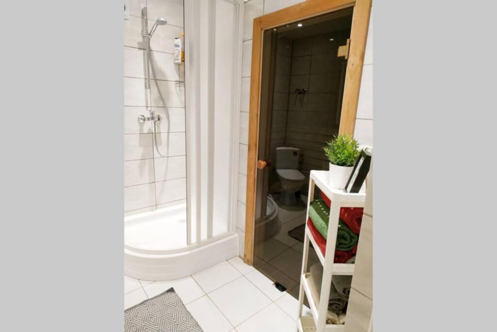 Private Sauna & 4 Bedrooms Old Town Rooftop Apartment VNO Eksteriør billede