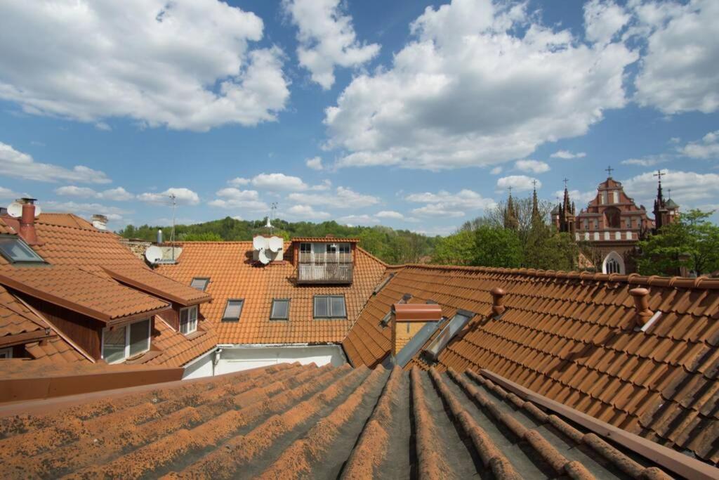 Private Sauna & 4 Bedrooms Old Town Rooftop Apartment VNO Eksteriør billede